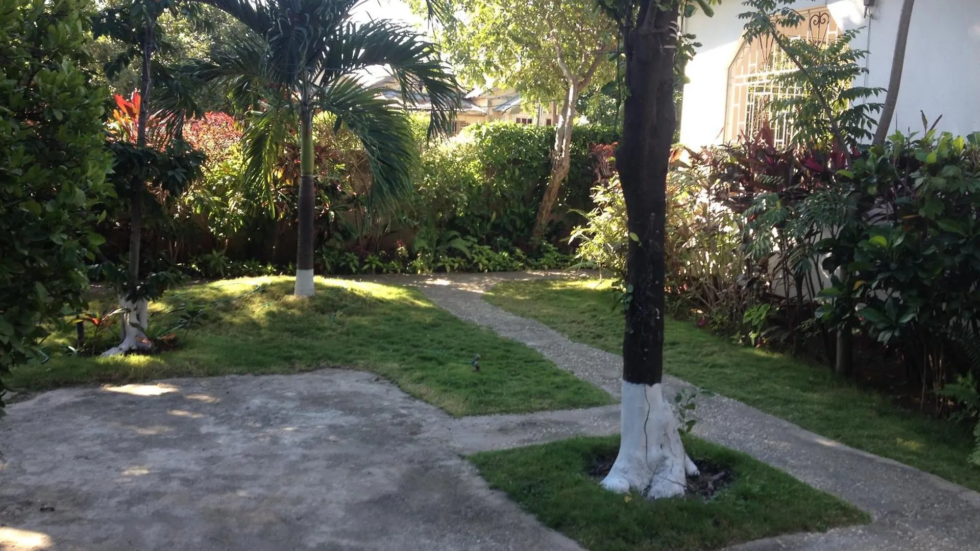 Kingston Airport Bed And Breakfast